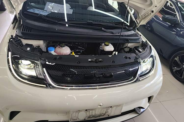 Used BYD Dolphin 2023 420 km Fashion Edition Engine Bay