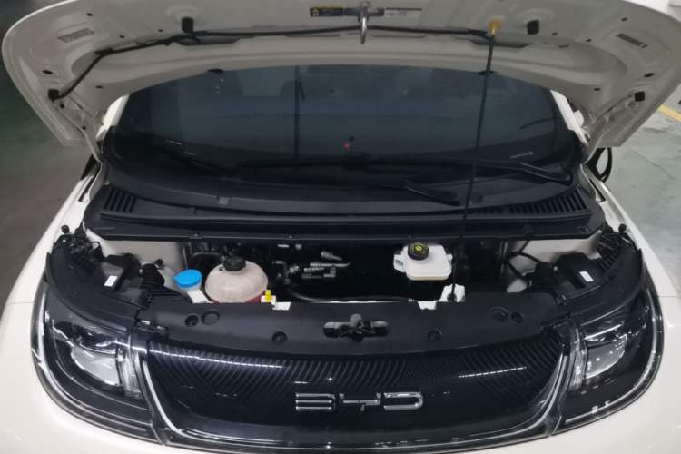 Used BYD Dolphin 2023 420 km Free Version Engine Bay