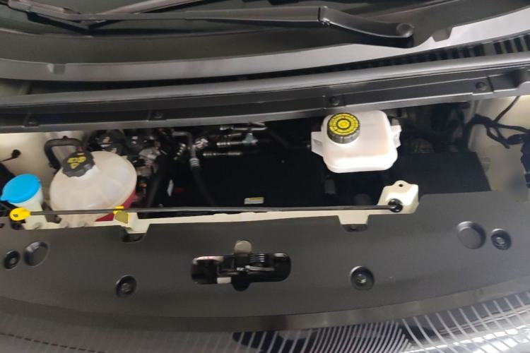 Used BYD Dolphin 2023 420 km Free Version Engine Bay