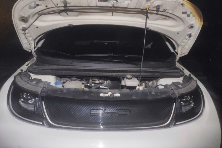 Used BYD Dolphin 2023 420 km Free Version Engine Bay