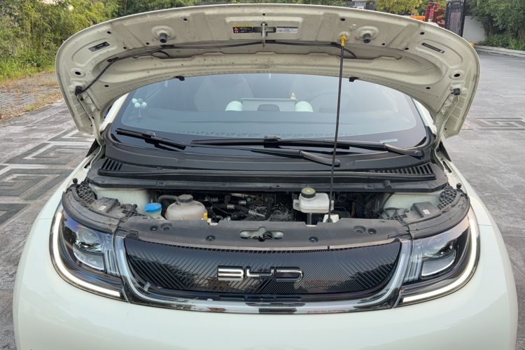 Used BYD Dolphin 2023 420 km Free Version Engine Bay