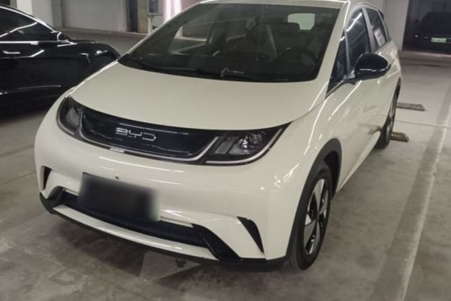 Used BYD Dolphin 2023 420 km Free Version