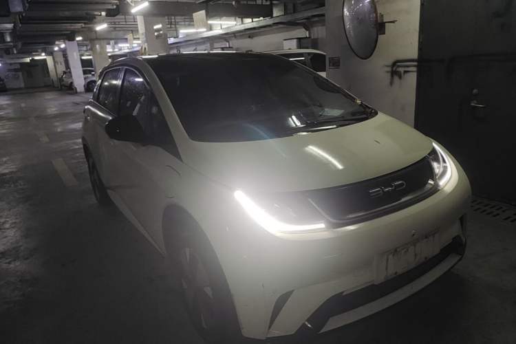 Used BYD Dolphin 2023 420 km Fashion Edition Exterior 1