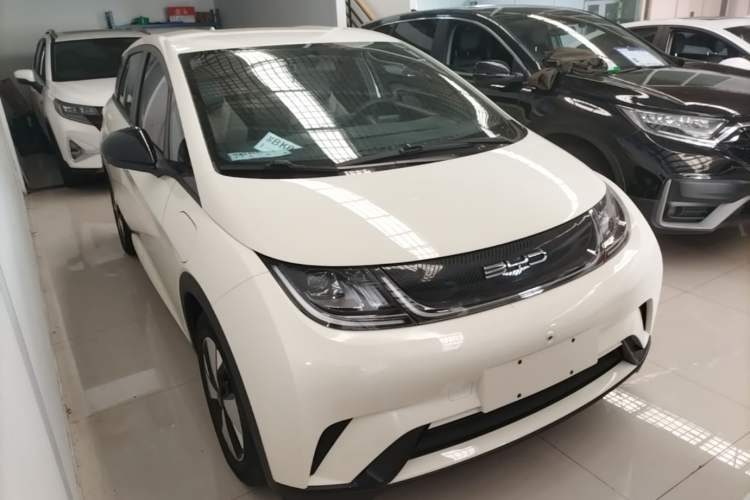 Used BYD Dolphin 2023 420 km Free Version Exterior 1