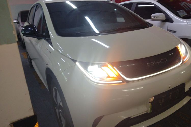 Used BYD Dolphin 2023 420 km Free Version Exterior 1