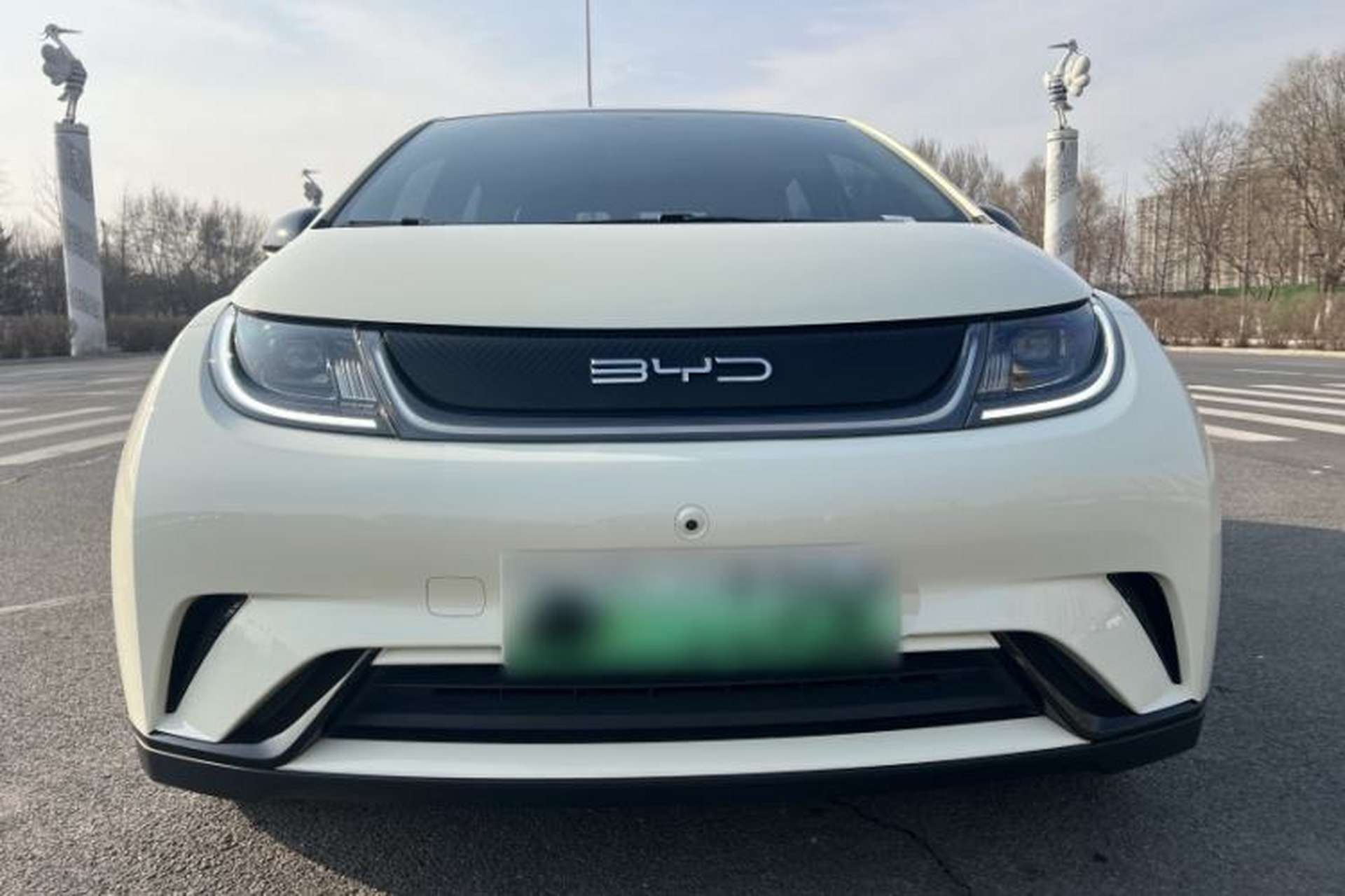 Used BYD Dolphin 2023 420 km Free Version Exterior 1