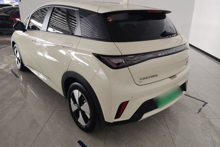 Used BYD Dolphin 2023 420 km Free Version Exterior 2