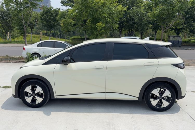 Used BYD Dolphin 2023 420 km Free Version Exterior 2