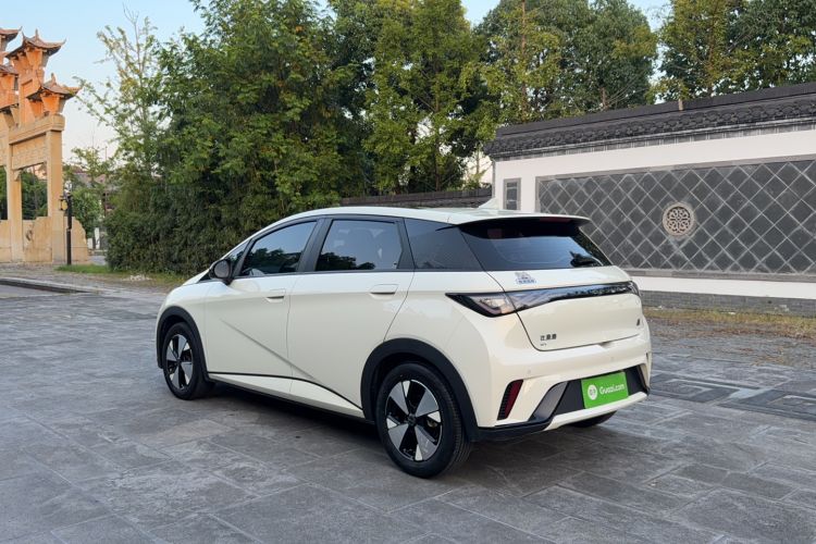Used BYD Dolphin 2023 420 km Free Version Exterior 2