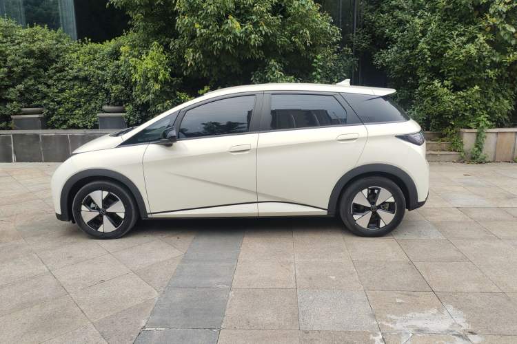 Used BYD Dolphin 2023 420 km Free Version Exterior 2
