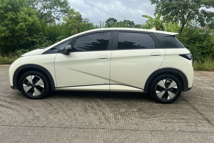 Used BYD Dolphin 2023 420 km Fashion Edition Exterior 3