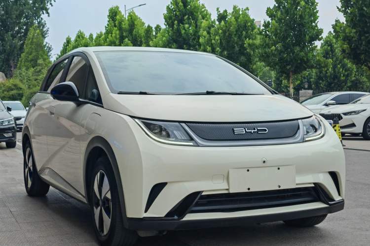 Used BYD Dolphin 2023 420 km Free Version Exterior 3