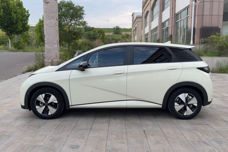 Used BYD Dolphin 2023 420 km Fashion Edition Exterior 3