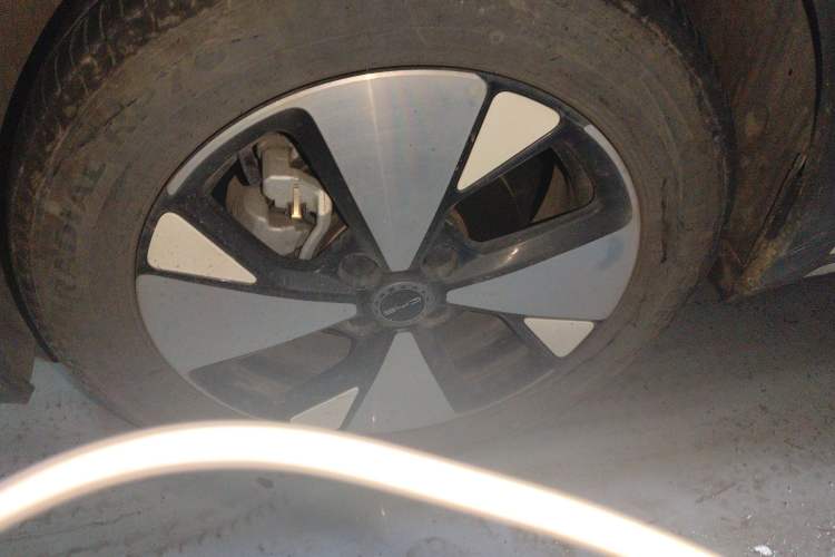 Used BYD Dolphin 2023 420 km Free Version Exterior 4