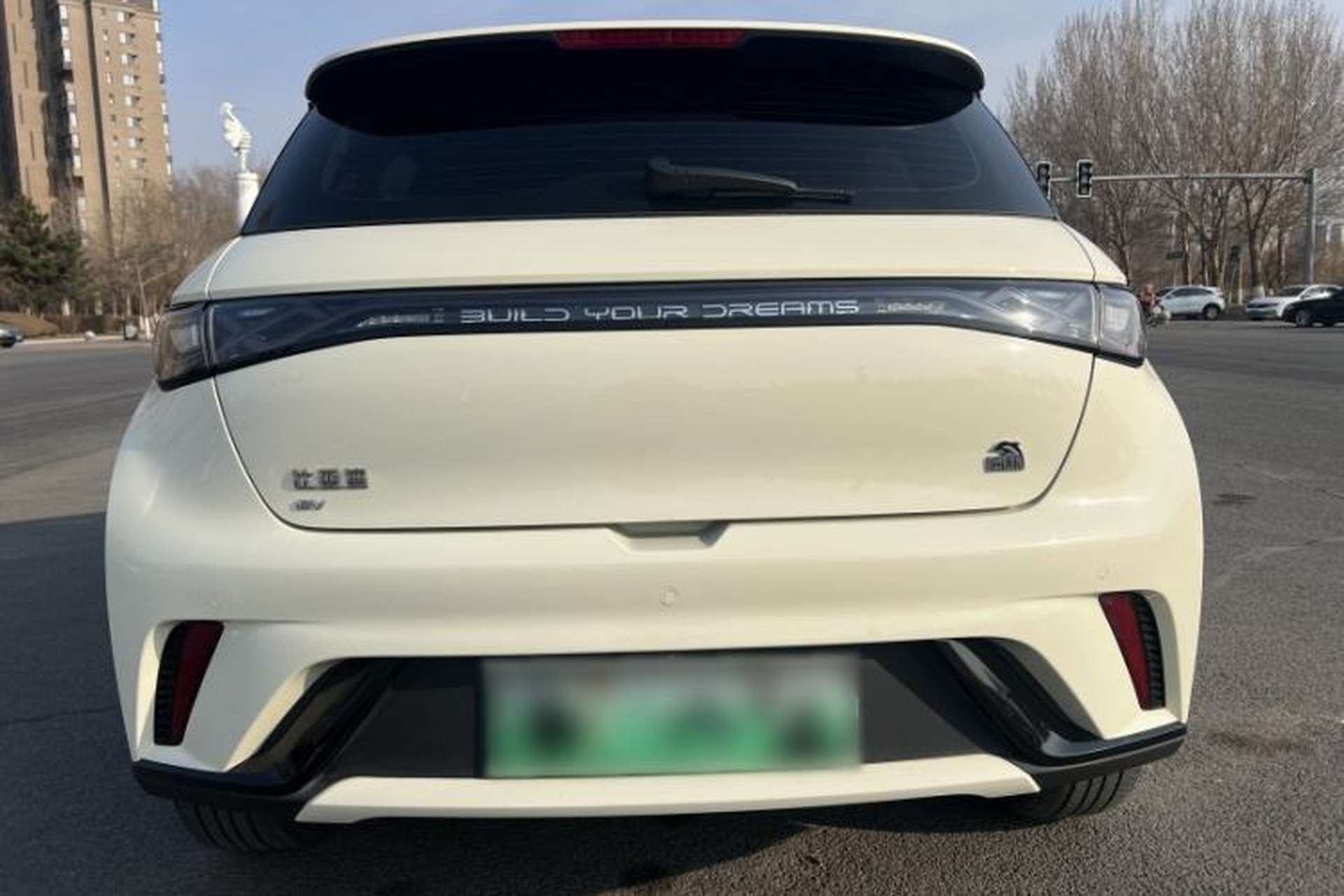 Used BYD Dolphin 2023 420 km Free Version Exterior 4