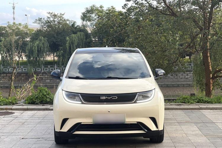 Used BYD Dolphin 2023 420 km Fashion Edition Exterior 5