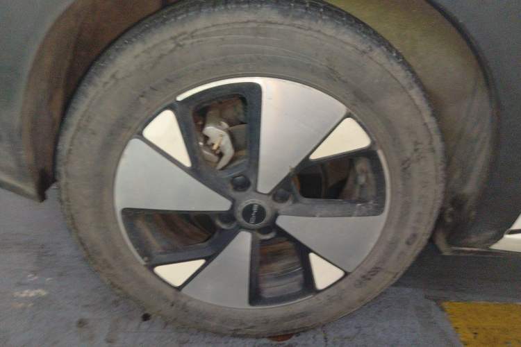 Used BYD Dolphin 2023 420 km Free Version Exterior 5