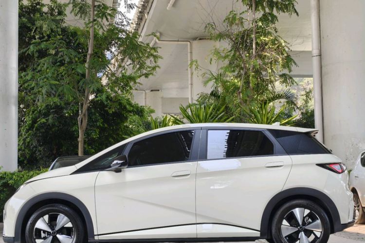 Used BYD Dolphin 2023 420 km Fashion Edition Exterior 5