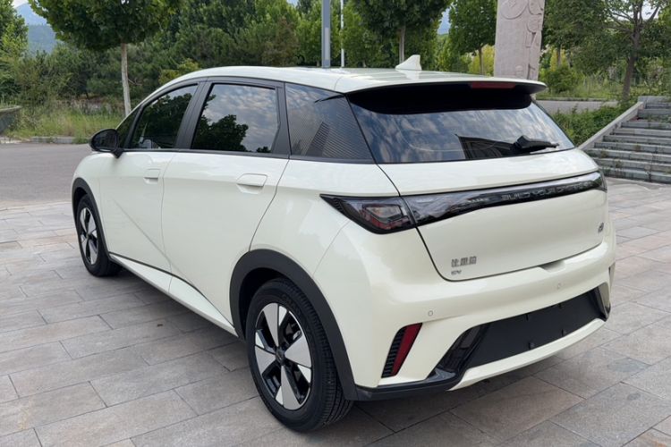 Used BYD Dolphin 2023 420 km Fashion Edition Exterior 5