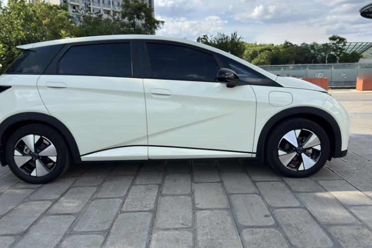 Used BYD Dolphin 2023 420 km Free Version Exterior 6