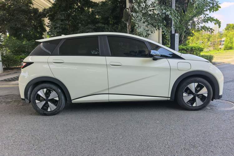 Used BYD Dolphin 2023 420 km Fashion Edition Exterior 6