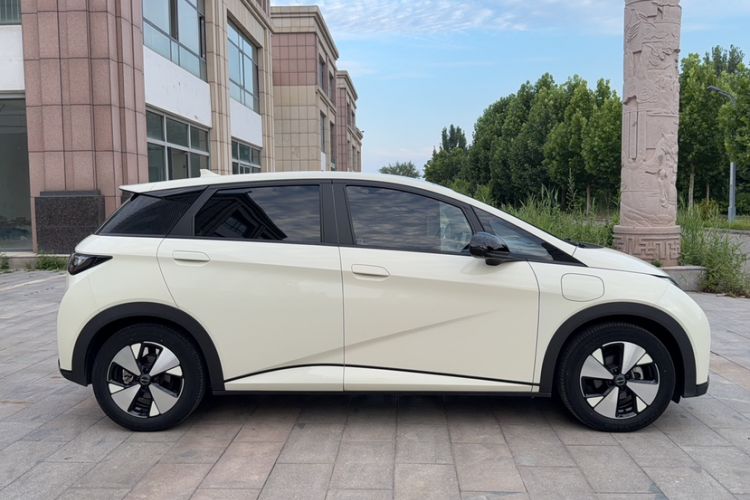 Used BYD Dolphin 2023 420 km Fashion Edition Exterior 9