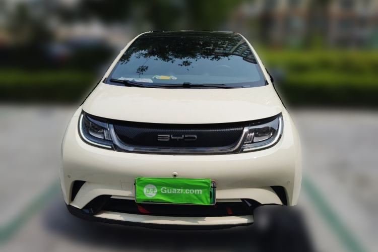 Used BYD Dolphin 2023 420 km Fashion Edition Front