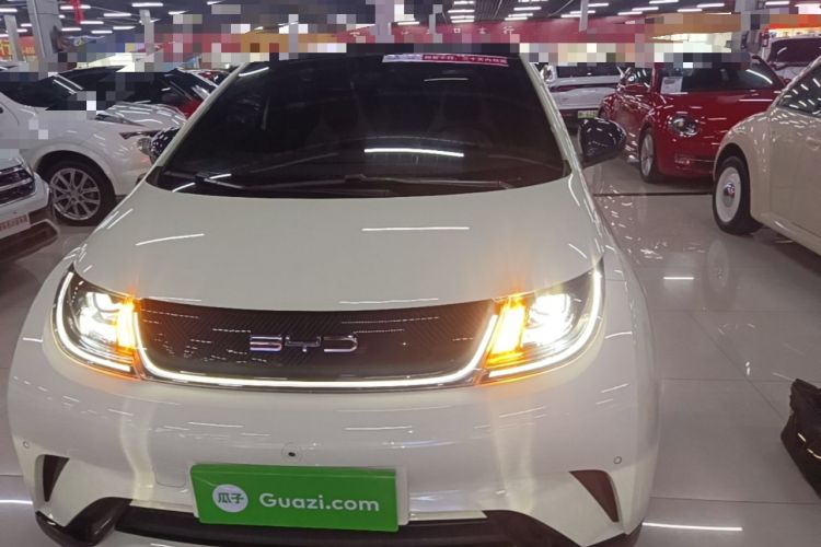 Used BYD Dolphin 2023 420 km Fashion Edition Front