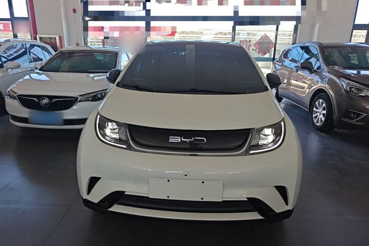 Used BYD Dolphin 2023 420 km Fashion Edition Front
