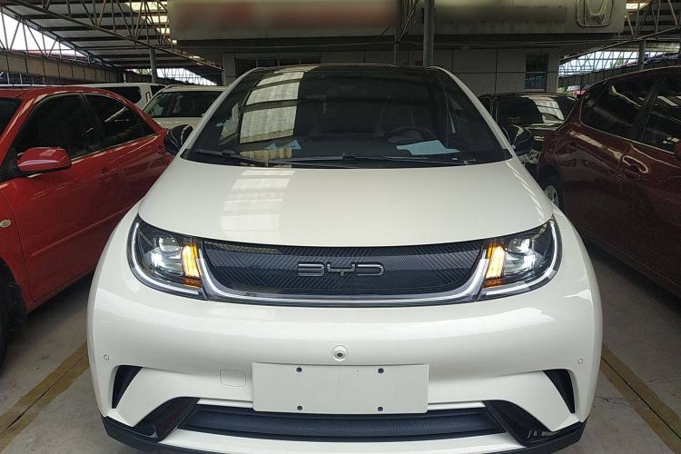 Used BYD Dolphin 2023 420 km Fashion Edition Front