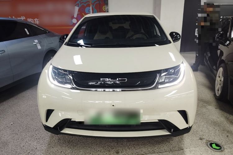 Used BYD Dolphin 2023 420 km Free Version Front