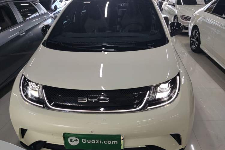 Used BYD Dolphin 2023 420 km Fashion Edition Front