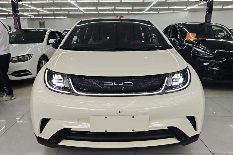 Used BYD Dolphin 2023 420 km Fashion Edition Front