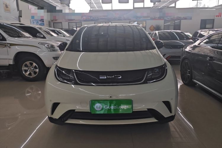 Used BYD Dolphin 2023 420 km Fashion Edition Front