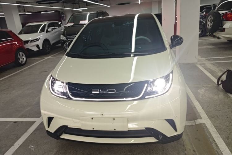 Used BYD Dolphin 2023 420 km Fashion Edition Front
