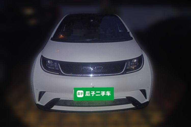 Used BYD Dolphin 2023 420 km Fashion Edition Front