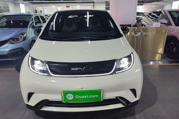 Used BYD Dolphin 2023 420 km Fashion Edition Front