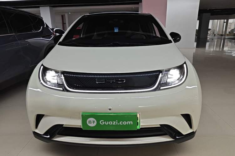 Used BYD Dolphin 2023 420 km Fashion Edition Front