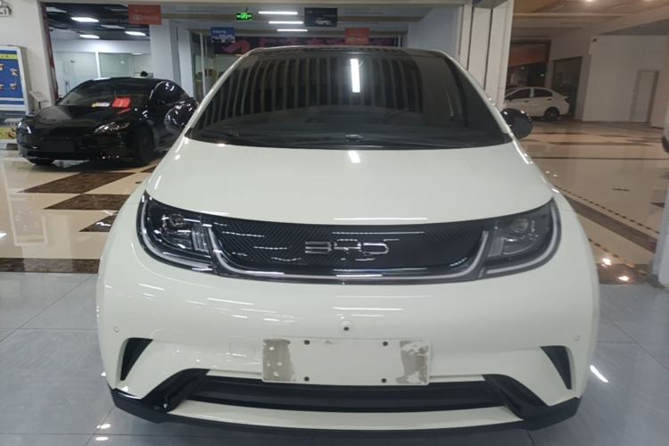 Used BYD Dolphin 2023 420 km Fashion Edition Front