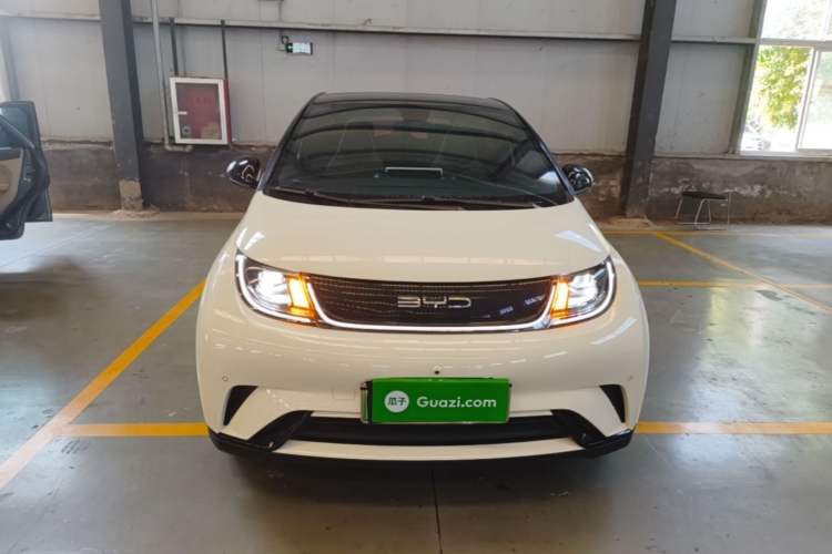 Used BYD Dolphin 2023 420 km Fashion Edition Front