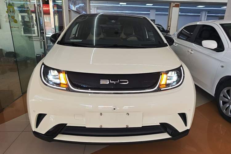 Used BYD Dolphin 2023 420 km Fashion Edition Front