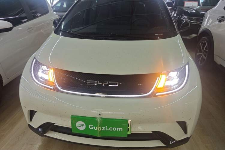 Used BYD Dolphin 2023 420 km Fashion Edition Front