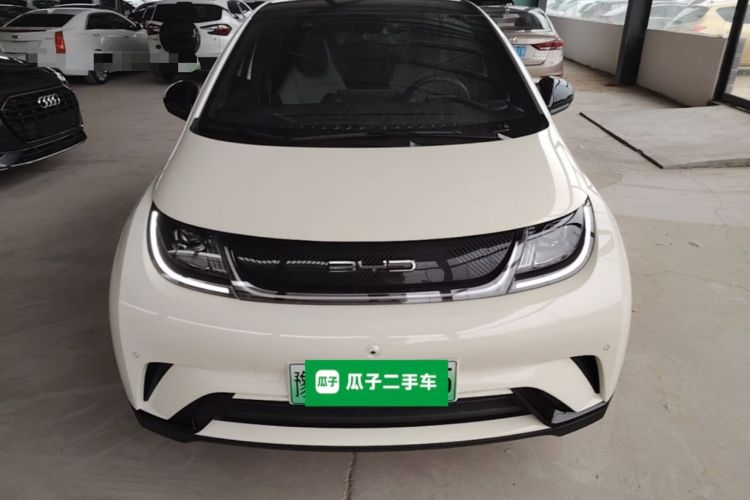 Used BYD Dolphin 2023 420 km Fashion Edition Front
