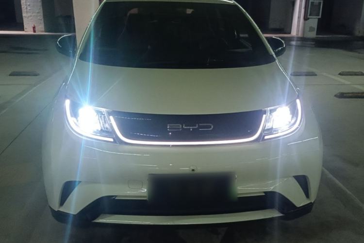Used BYD Dolphin 2023 420 km Free Version Front