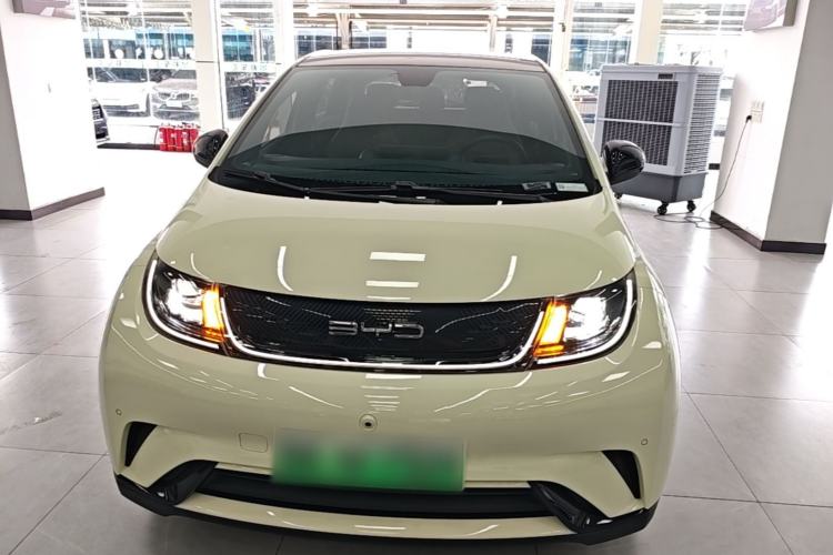 Used BYD Dolphin 2023 420 km Fashion Edition Front