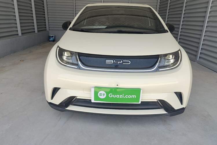 Used BYD Dolphin 2023 420 km Free Version Front