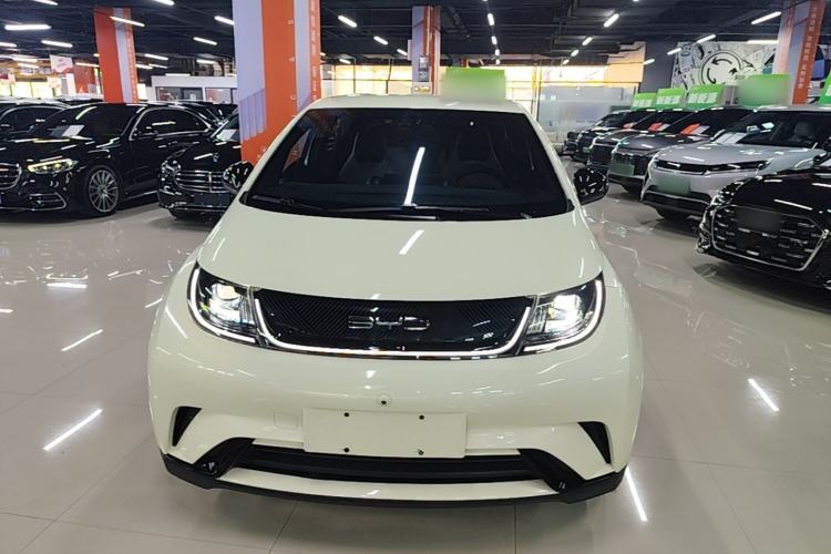 Used BYD Dolphin 2023 420 km Free Version Front