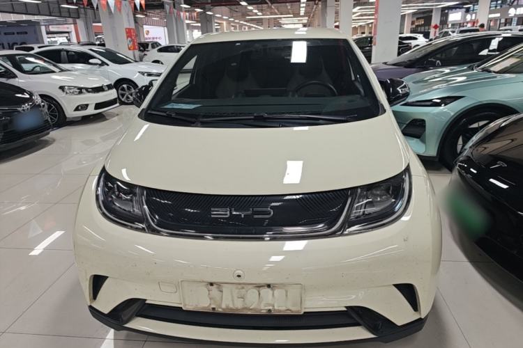 Used BYD Dolphin 2023 420 km Free Version Front