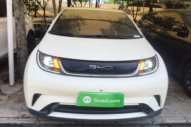 Used BYD Dolphin 2023 420 km Free Version Front