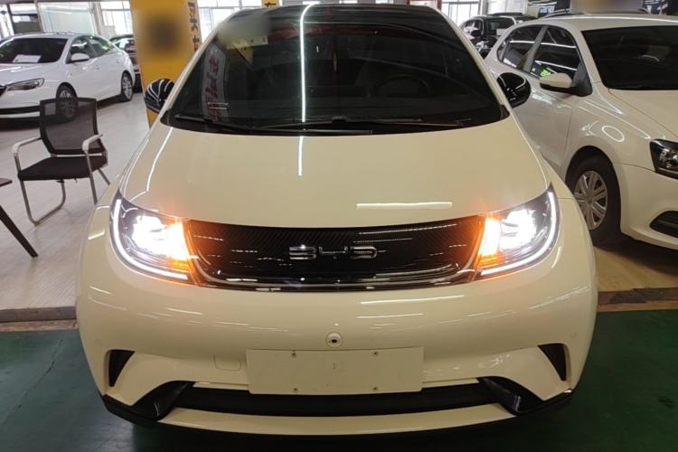 Used BYD Dolphin 2023 420 km Fashion Edition Front